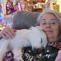 Sitter Profile Image: Tami W.