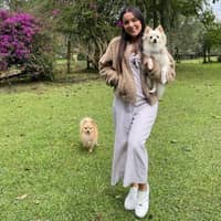 Photo de profil du pet sitter : Melissa A.