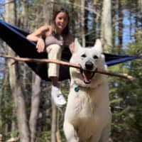 Sitter Profile Image: Shelby S.