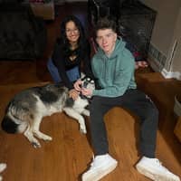 Sitter Profile Image: Amanda H.