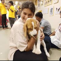 Sitter Profile Image: Yosshti M.