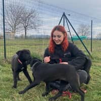 Photo de profil du pet sitter : Mayliss B.