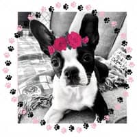 Sitter Profile Image: Dianna & Matthew B.