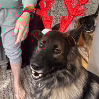 Sitter Profile Image: Lori C.