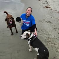 Sitter Profile Image: Graham H.