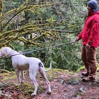 Sitter Profile Image: Travis K.