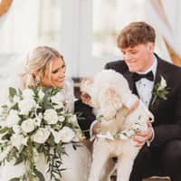 Sitter Profile Image: Emily G.