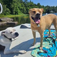 Sitter Profile Image: Julia M.