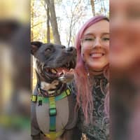 Sitter Profile Image: Krista K.