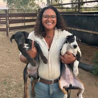 Sitter Profile Image: Iyris Z.