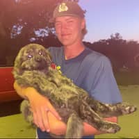 Sitter Profile Image: Carter S.