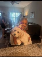 Sitter Profile Image: Alexa P.