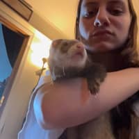 Sitter Profile Image: Isabella F.