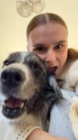 Photo de profil du pet sitter : Louise L.