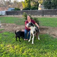 Sitter Profile Image: Araceli A.