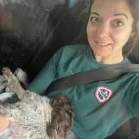 Photo de profil du pet sitter : Séverine W.