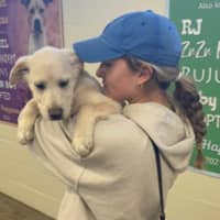 Sitter Profile Image: Zoe A.