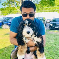 Sitter Profile Image: Ifan F.