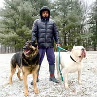 Sitter Profile Image: Ifan F.