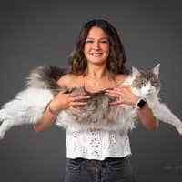 Sitter Profile Image: Morgane V.