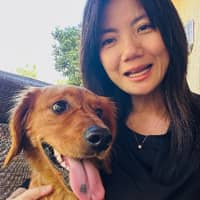 Sitter Profile Image: Qing N.