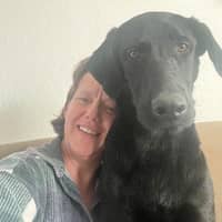 Sitter Profile Image: Rada F.