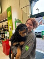 Sitter Profile Image: Sophie H.