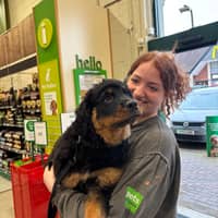 Sitter Profile Image: Sophie H.