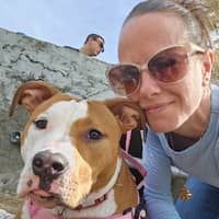 Sitter Profile Image: Courtney F.