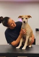 Foto del cuidador: Sara A.