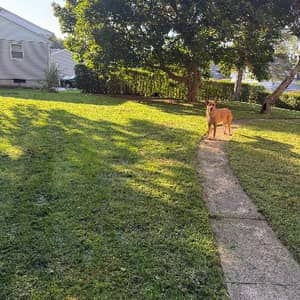 Sitter Profile Image: Crystal A.