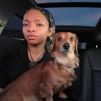 Sitter Profile Image: Tyan W.