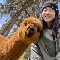 Sitter Profile Image: Yue H.