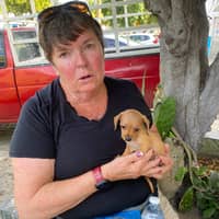 Sitter Profile Image: Donna A.