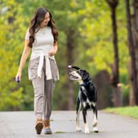 Sitter Profile Image: Andi W.