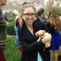 Sitter Profile Image: Leia D.