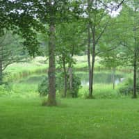 Sitter Profile Image: Thomas N.