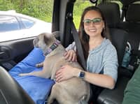 Sitter Profile Image: Theresa P.