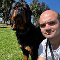 Sitter Profile Image: Artem K.