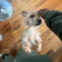 Sitter Profile Image: Jahleel H.