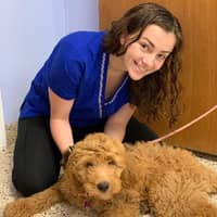 Sitter Profile Image: Colleen R.