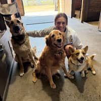 Sitter Profile Image: Alexis S.