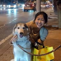 Sitterprofilbild: Dan J.