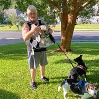 Sitter Profile Image: William W.