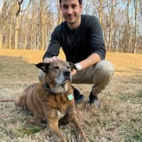 Sitter Profile Image: Ramin R.