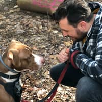 Sitter Profile Image: Andrew B.