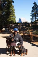 Sitter Profile Image: Manuel A.