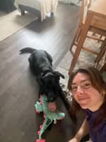 Photo de profil du pet sitter : Lea F.