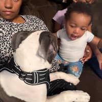 Sitter Profile Image: Jade M.