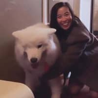 Sitter Profile Image: Kar Yan M.